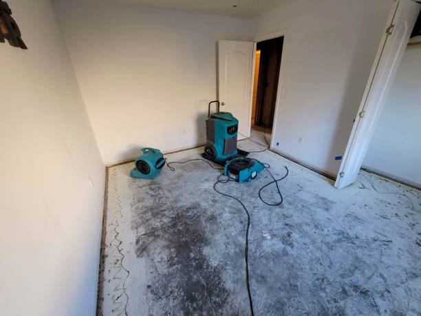 Best Flooded house restoration  in Montevlo, AL