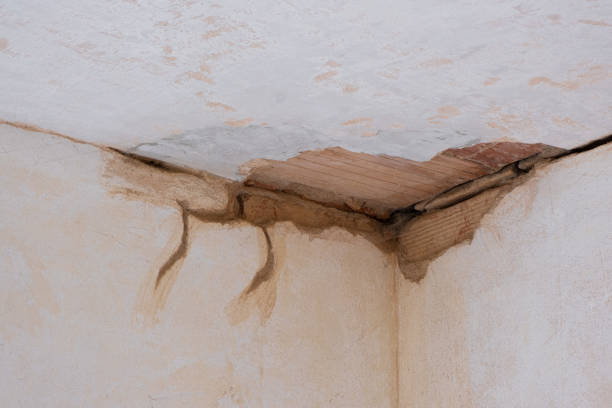Best Emergency water damage restoration  in Montevlo, AL