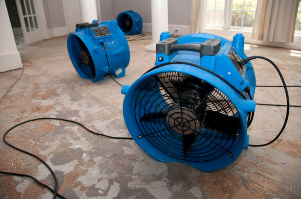 Best Residential water damage restoration  in Montevlo, AL