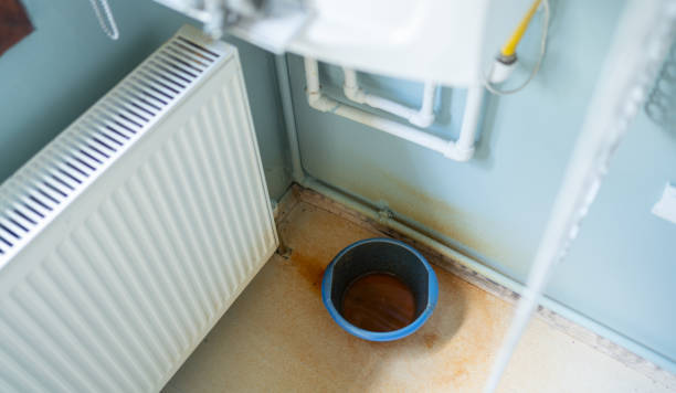 Best Carpet water damage restoration  in Montevlo, AL