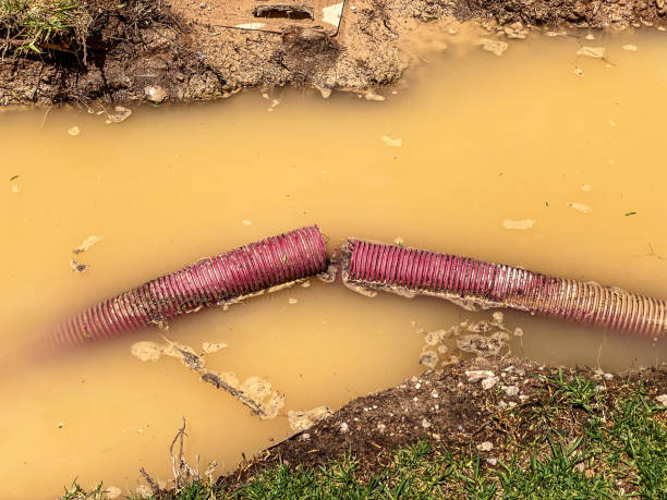 Best Emergency water extraction  in Montevlo, AL