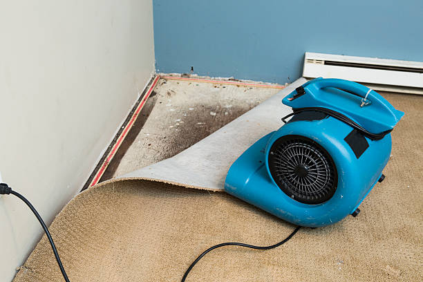  Montevlo, AL Water damage restoration Pros